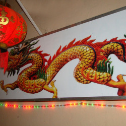 Kineski Restoran Ni Hao-2