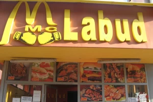 Mc Labud-cover-image-big