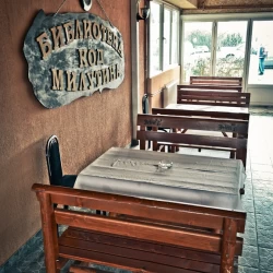 Kafana Biblioteka kod Milutina-1