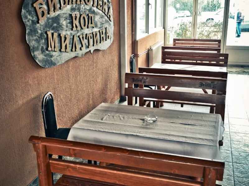 Kafana Biblioteka kod Milutina-2