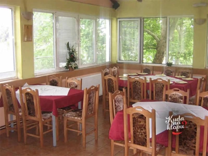 Kafana Biblioteka kod Milutina-11