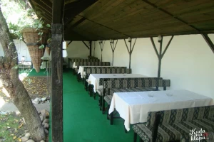 Stari Amerikanac-cover-image-big