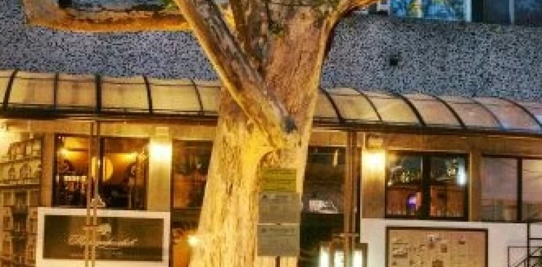 Bistro Trandafilović-0