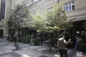 Atina-cover-image-big