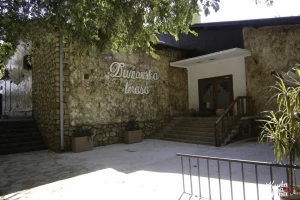 Restoran Dunavska Terasa-cover-image-big