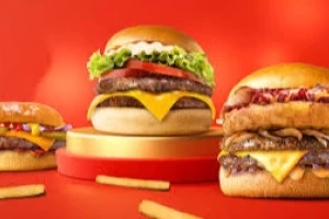 Haslers-cover-image-big