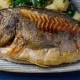 Grilovana orada