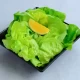 Zelena salata