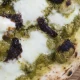 Caprese