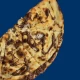 Dolce Nesta 33cm
