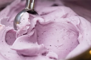 Crna Ovca Njegoševa-cover-image-big