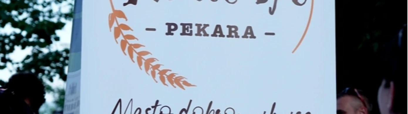 Pekara Nedic-0