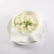 Krastavac salata