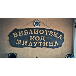 Kafana Biblioteka kod Milutina-3