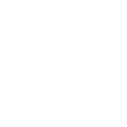 Bistro Trandafilović-3