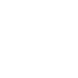 Bizu Restaurant Sushi-3