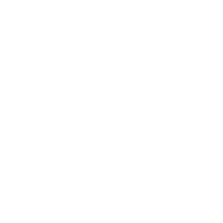 Sunshine Bagel-1