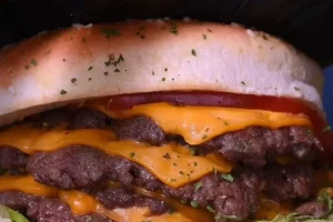 Burgerana Braće Ribnikar-cover-image-big