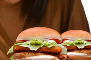 Lazy Burger-cover-image-big