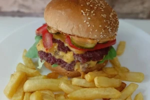 Terminator Index-cover-image-big