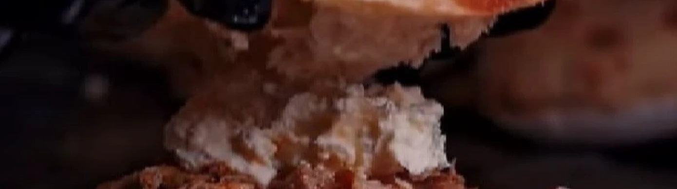 Dom Pastrmajlija-0