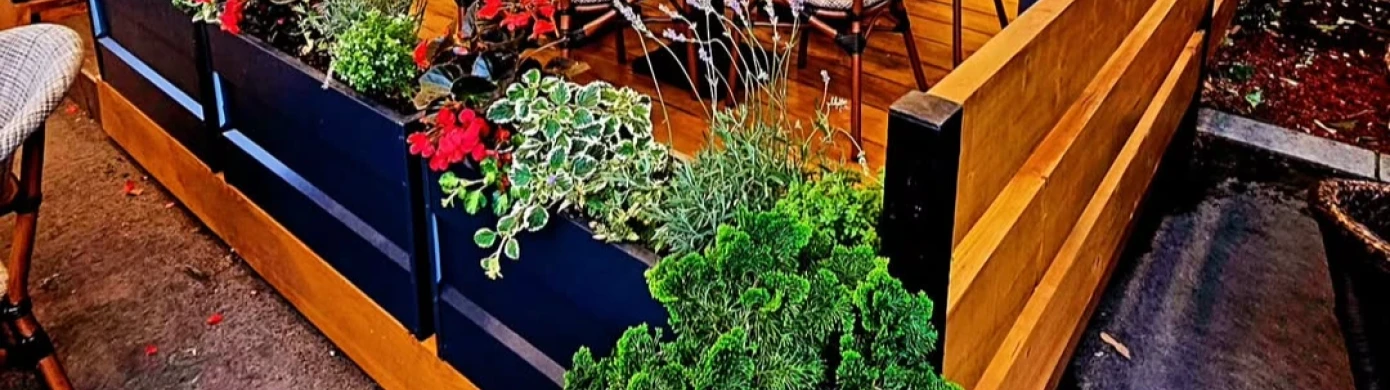 Restoran Piazza Platani-0