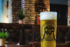 Funk Soul Pub 1-cover-image-big