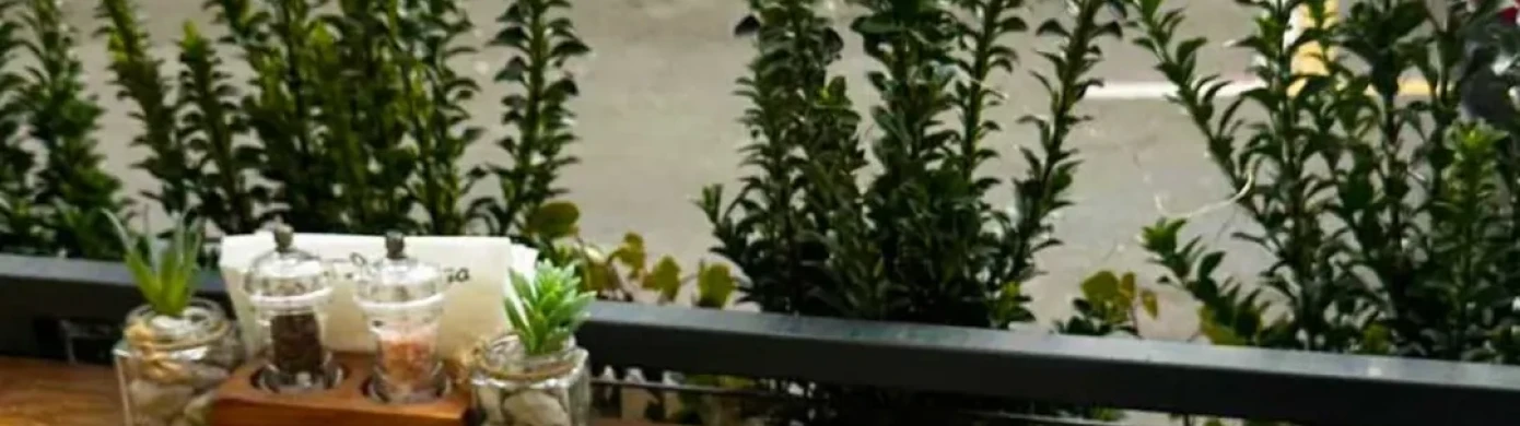 Santo Domingo Dorćol-0